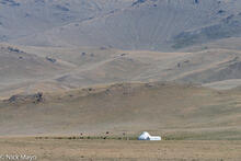 Yurt In The Pastures