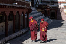 Two Novice Monks