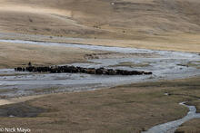 Crossing The Kurumduk River