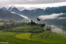 Thanh Hoa