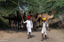 Departing The Chandrabhaga Mela