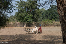 Husband & Wife Plough Team