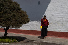 White Wall Monk & Tree