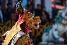 Tiger Head Masked Monk