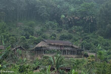 Nocte House On Bamboo Piles