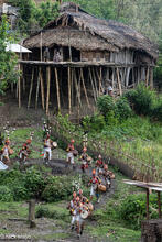 Bamboo Piled House & Ollo Warriors