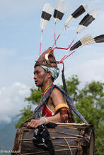 Six Hornbill Feathers