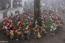 Ollo Group Circling Sacred Tree