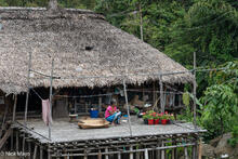 Resting On The Bamboo Platform 