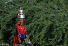 Vagadiya Rabari Woman 