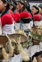 Traditional Cane Baskets