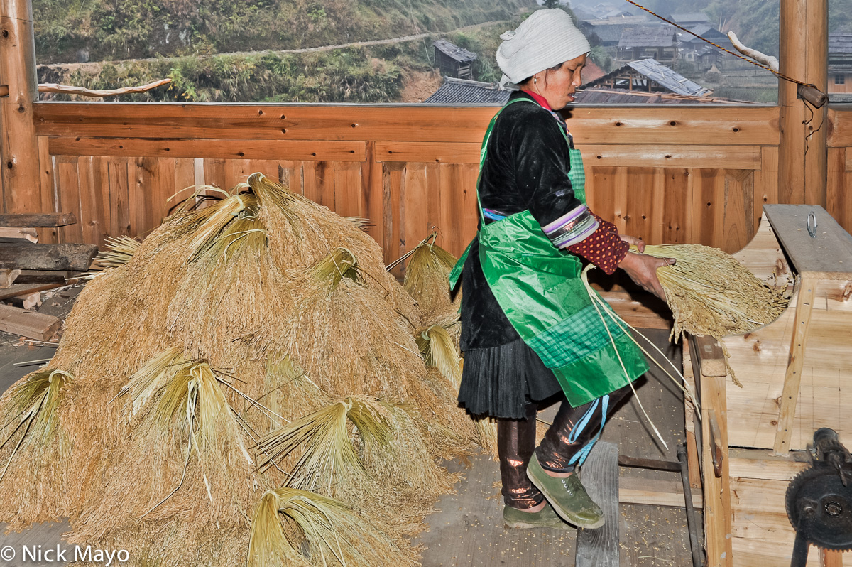 A Dong woman threshing paddy rice on a foot operated thresher in Yintan village.