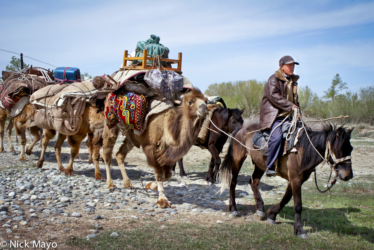 A Kazakh sheep herder moving to a new camp near Burqin leading a horse and camel train carrying his belongings.