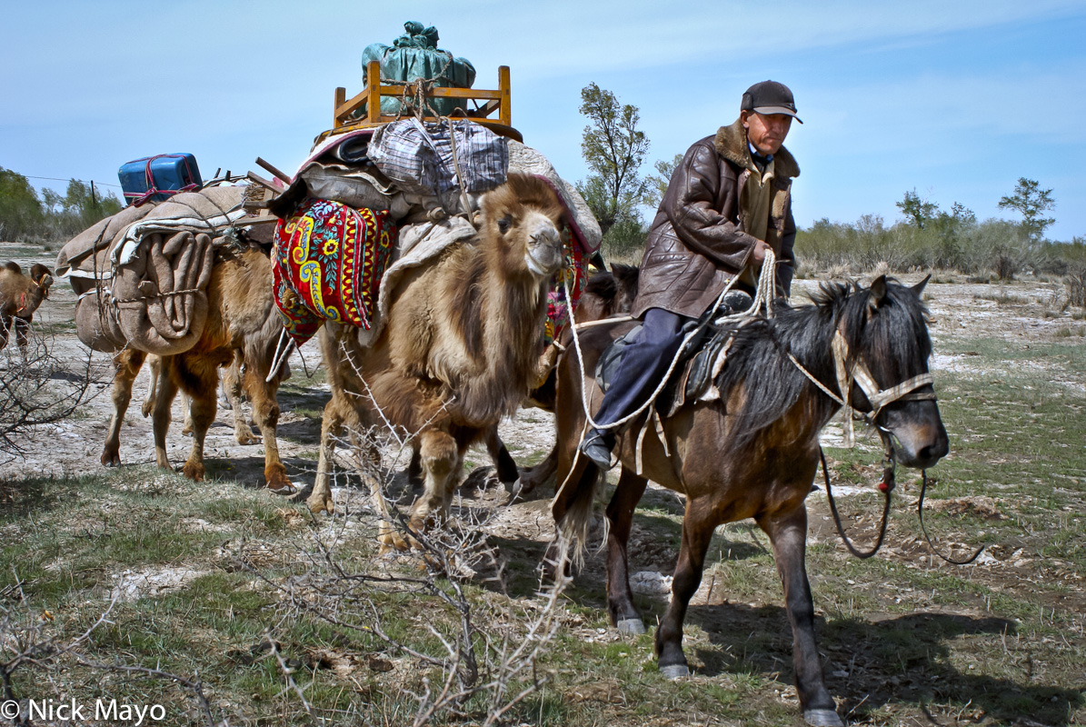 A Kazakh sheep herder moving by horse to a new camp near Burqin leading a camel train carrying his belongings.