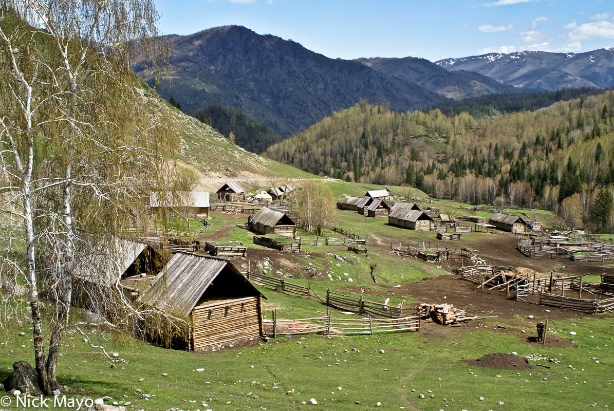 Wooden cabins and animal pens in a settlement near Hemu.