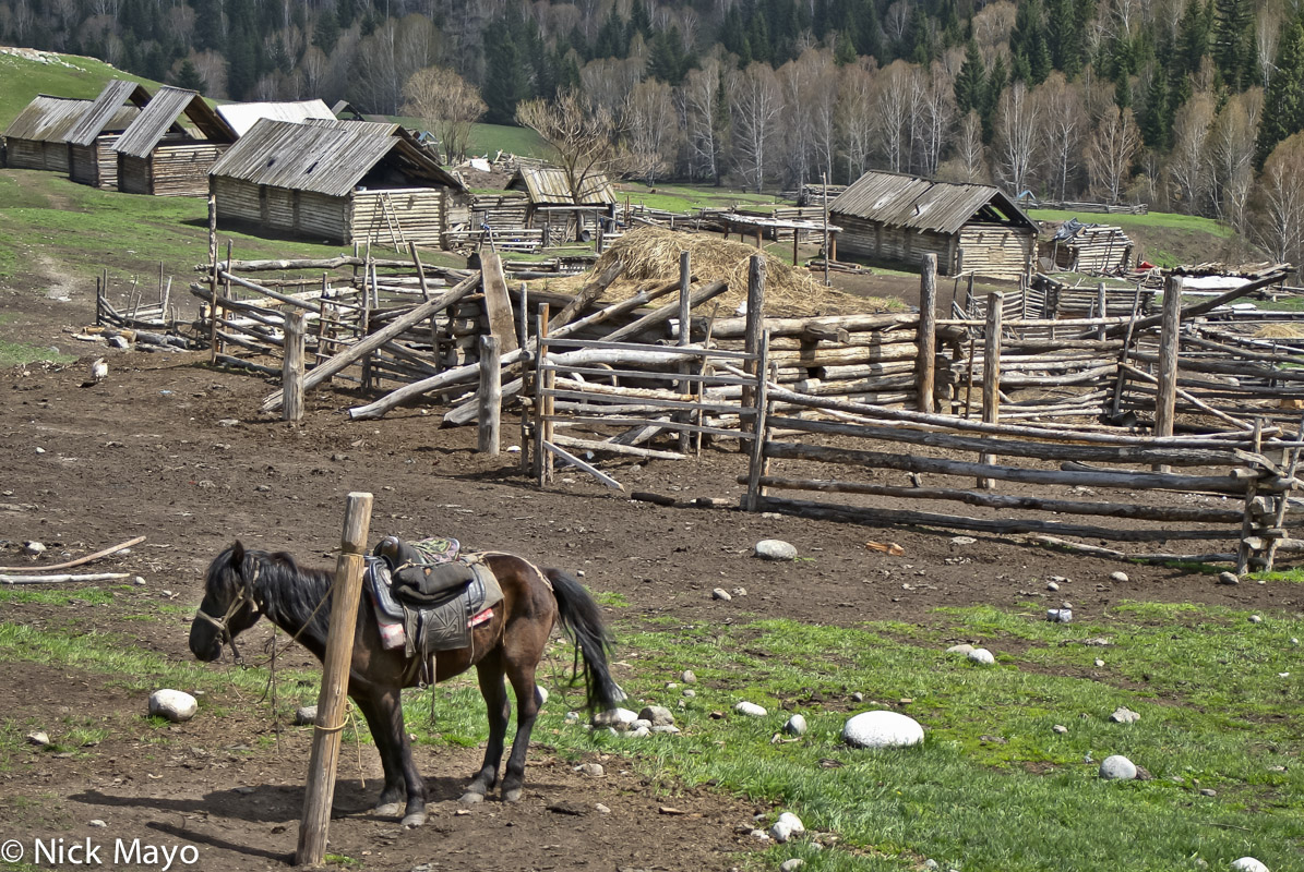 A hitched horse and wooden cabins and animal pens in a settlement near Hemu.