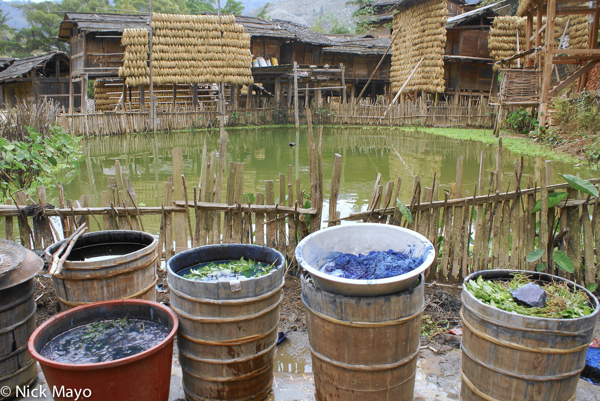Paddy rice drying on racks and indigo being processed in tubs at Wuei village.