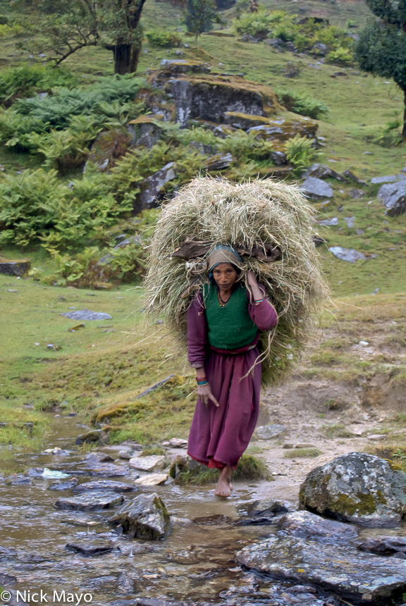 A woman carrying fodder home with a head strap crossing a stream in the Saryu valley.