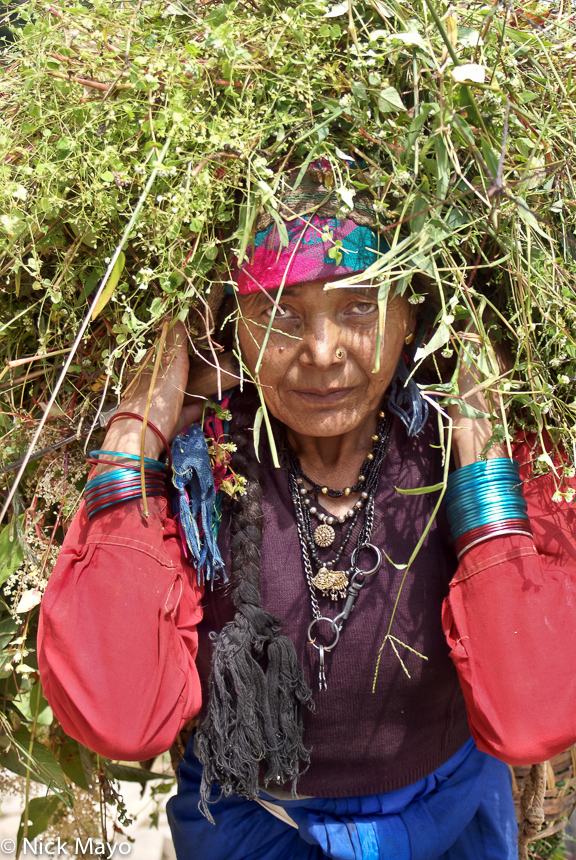 A woman from Kema in the Ram Ganga valley carrying fodder home using a head strap.