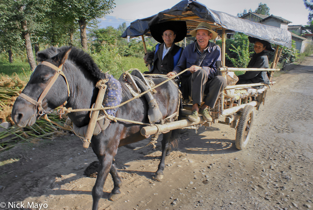 A Yi woman taking a horse and cart home from Huilong.