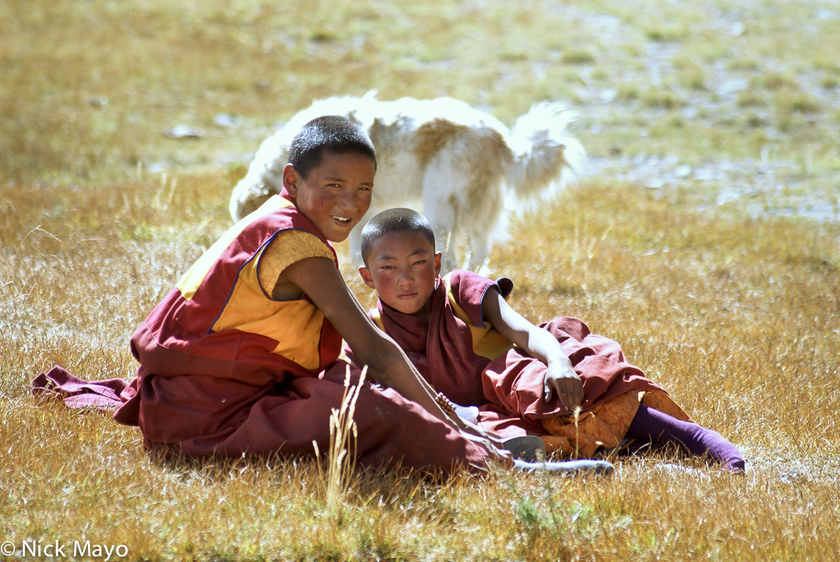 Two young Tibetan monks with a dog at Sershul.