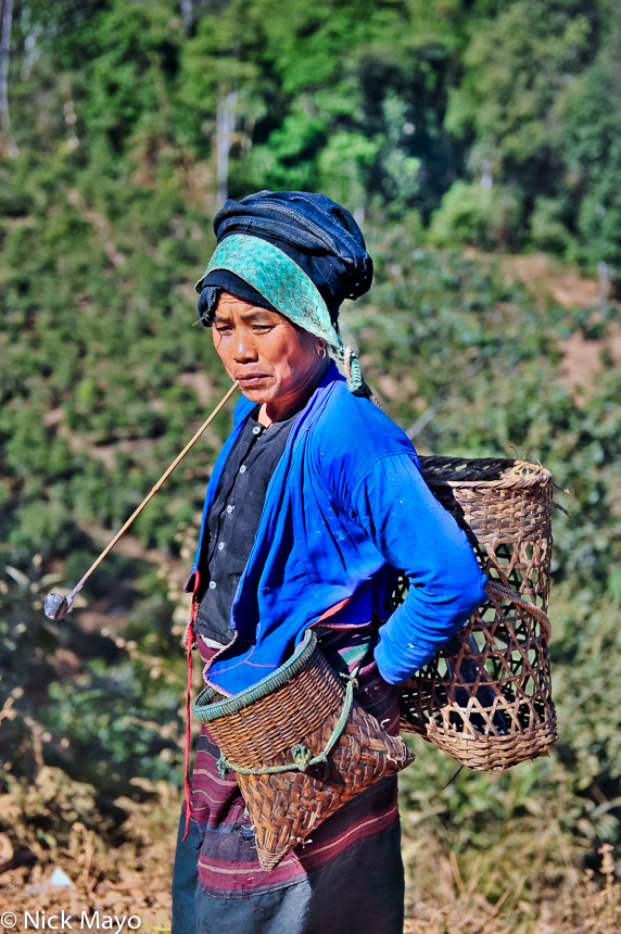 A Bulang woman from Xinnan village smoking a long stemmed pipe while heading to the fields.