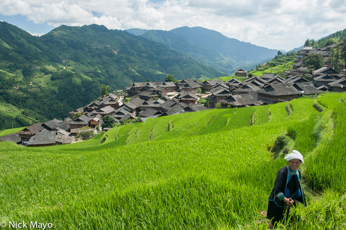 The wooden Miao village of Jia Ci Cun, with its traditionally roofed houses, surrounded by terraces of paddy.