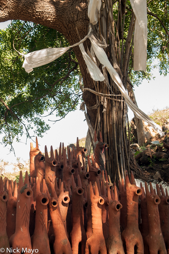 Terracotta horses placed under a sacred tree near the village of Bora as offerings to a local divinity.