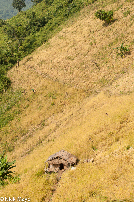 A thatched field hut outside the village of Ban Shapiew.