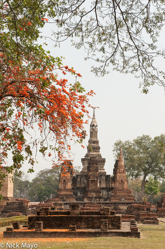A pagoda and red blooms in the historical park at Old Sukhothai.