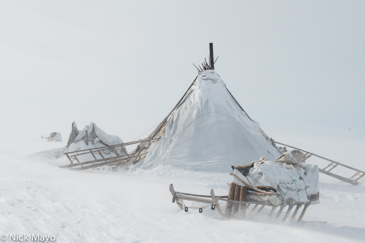 A Nenets chum, with the sacred sledge leaning against it, in a winter storm on the Yamal peninsula in the Siberian Arctic.