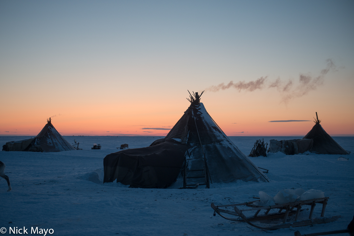 Chums and sledges at a winter camp of the tundra Nenets on the Yamal peninsula in the Siberian Arctic.