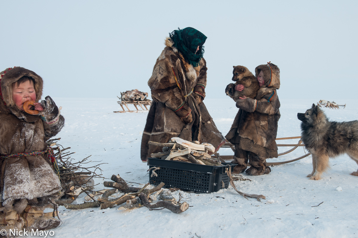 A Siberian Arctic Nenets family, the children wearing traditional malitsas and kisy and their grandmother a yagushka, about to...