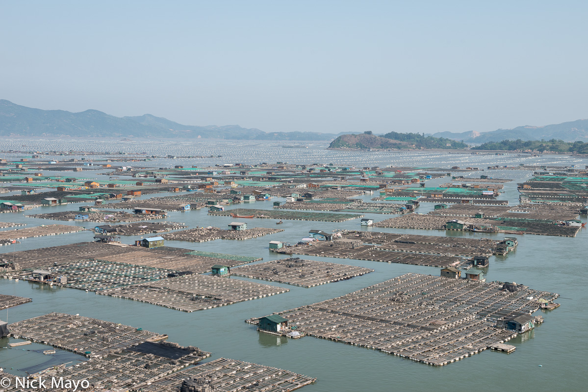 Floating oyster beds and houses near Dong An.