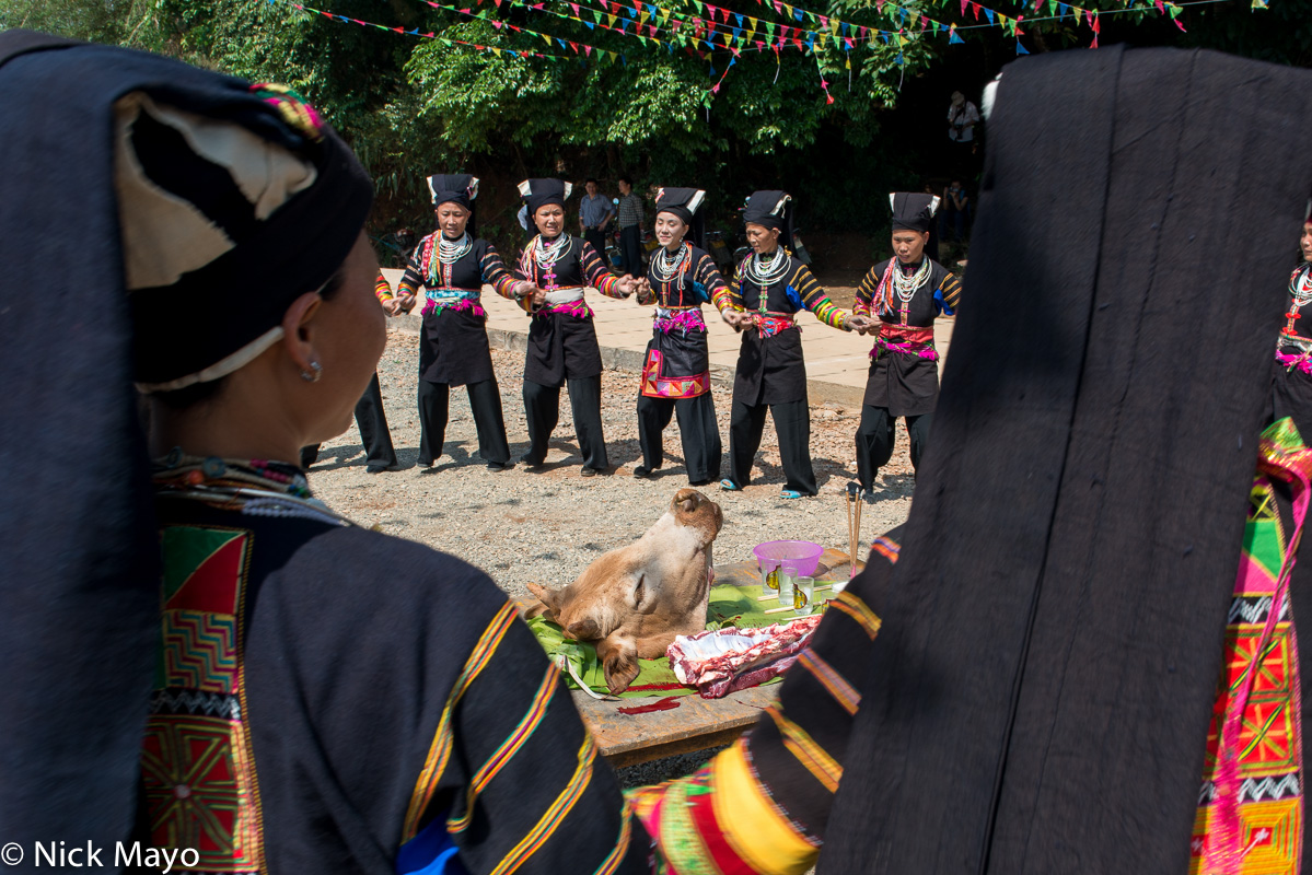 Red Yi women circling a sacrificial cow's head offering during a festival in the village of Powu.