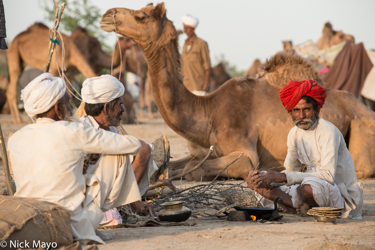 Rabari men cooking chapatis besides their camels during the Mallinath fair at Tilwara.