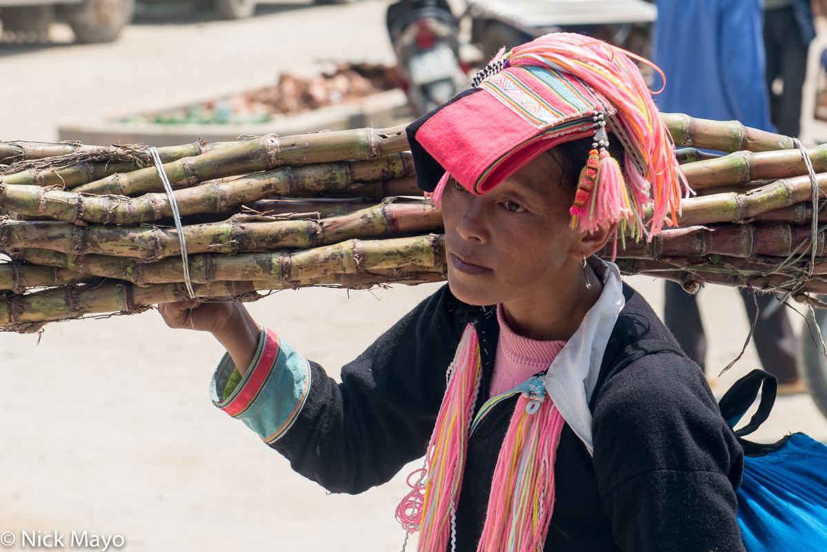 A Dao (Yao) woman carrying sugar cane in Muong Khuong market.