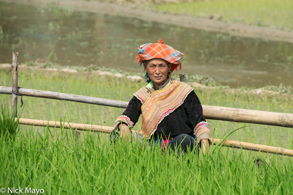 A Hmong woman in a paddy field near Ta Lat.