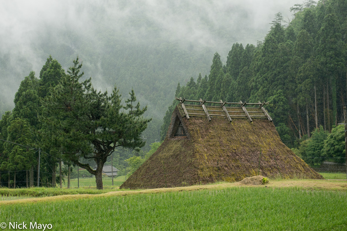 A thatched roof house behind a paddy field near Miyama.