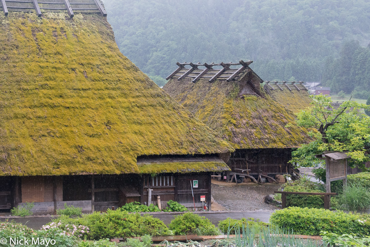 Rain falling on two thatched roof houses in Miyama.