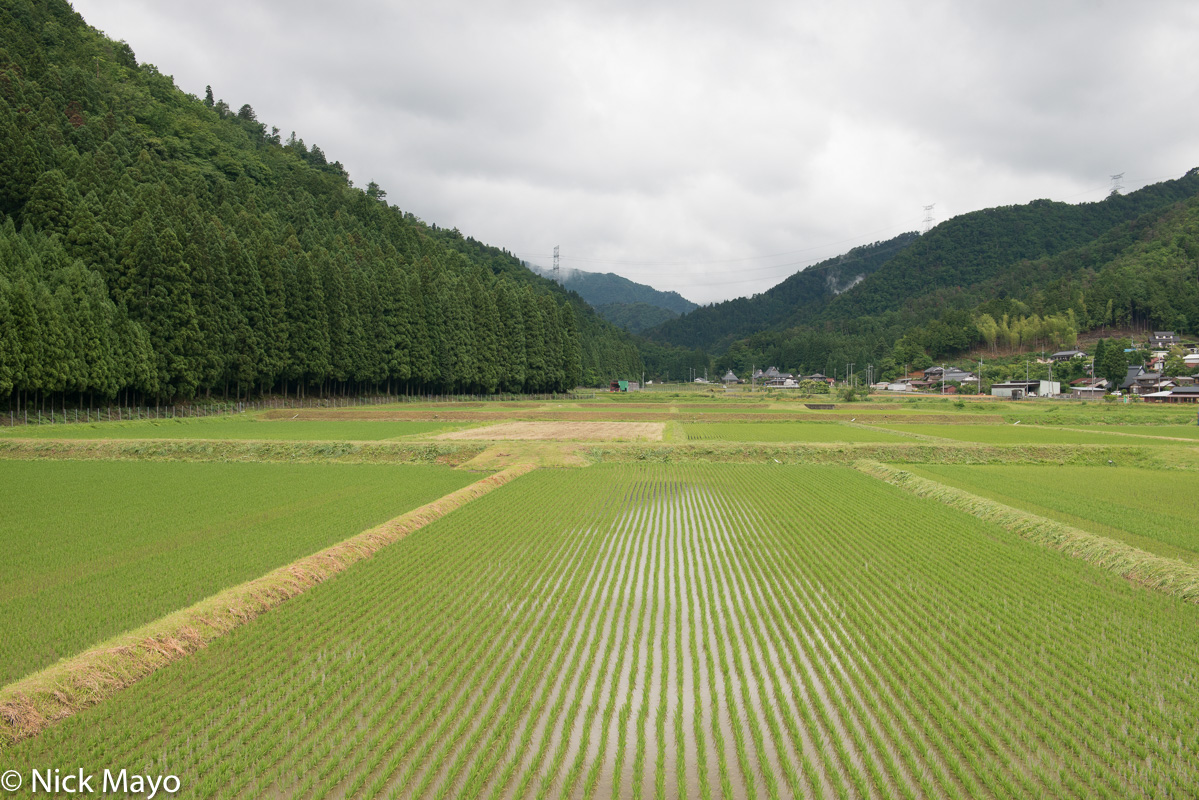 Paddy rice fields near Miyama.