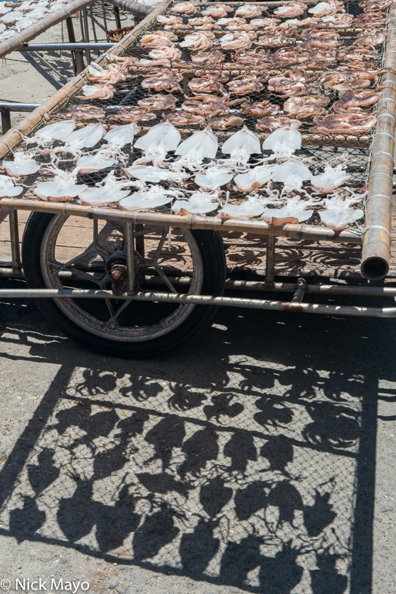 The night's squid and fish catch drying on the quayside at Niaoyu.