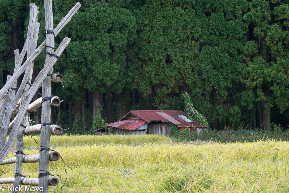 An abandoned house behind a paddy rice field on Dogo in the Oki Islands.