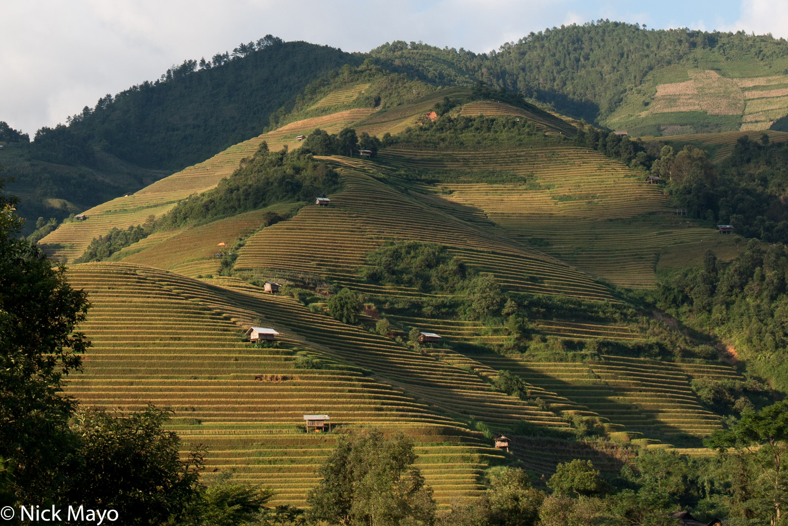 Paddy rice terraces in the Mu Cang Chai valley.