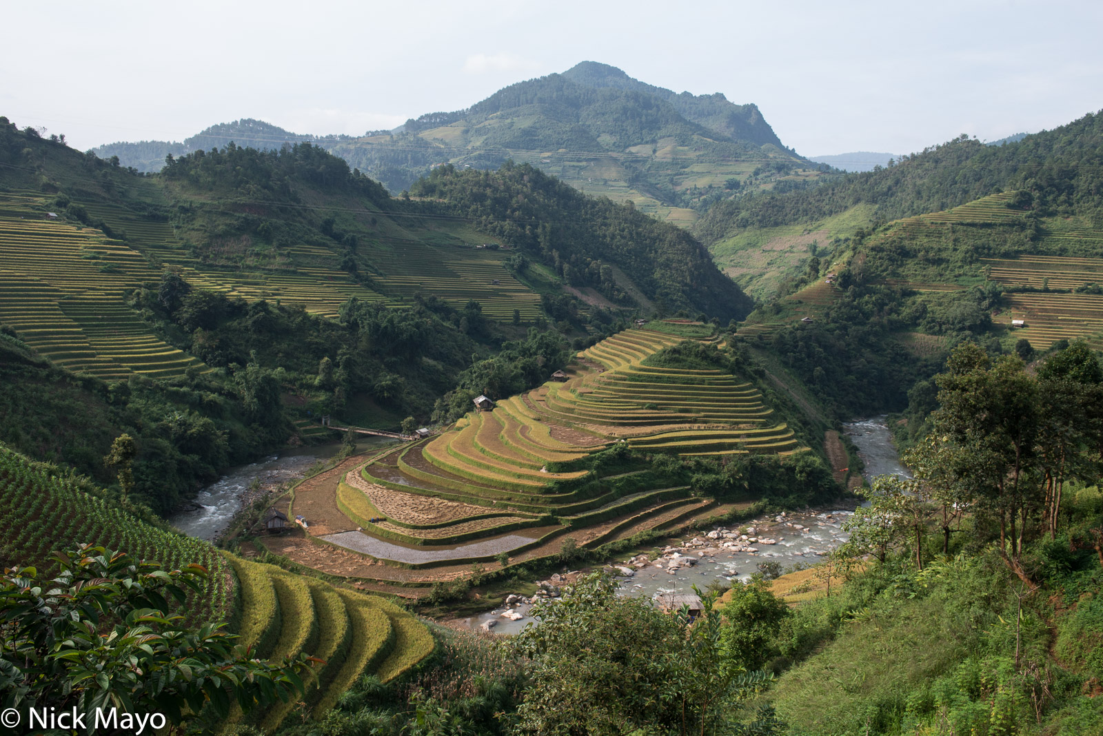 Paddy rice terraces reached by suspension bridge in the Mu Cang Chai valley.
