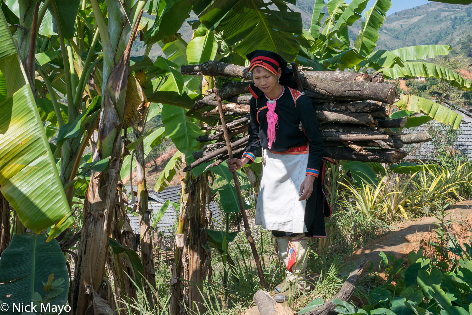 A Black Dao (Yao) woman carrying firewood home to her house in Pocha village.