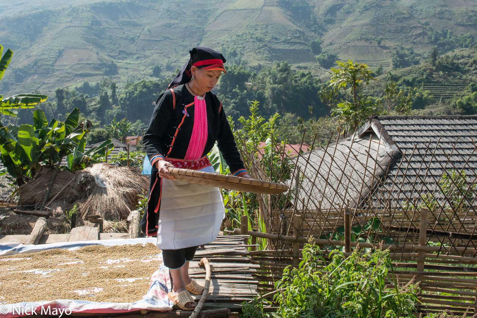 A Black Dao (Yao) woman winnowing in Pocha village.