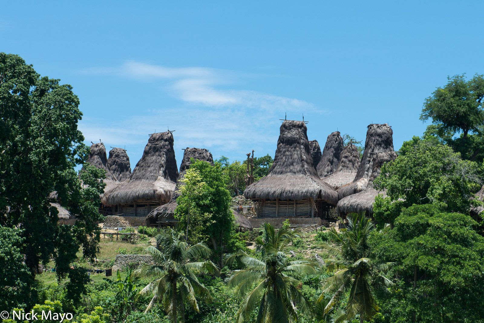 A thatched village of peaked roof houses in West Sumba Regency.