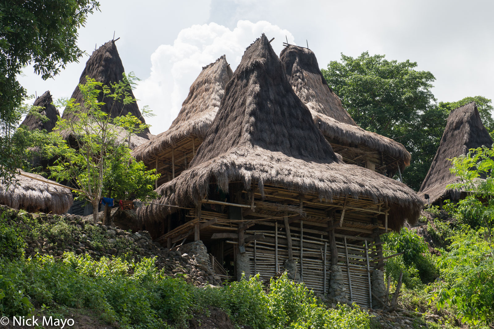 A hillside village of peaked roof houses thatched with alang grass in West Sumba Regency.