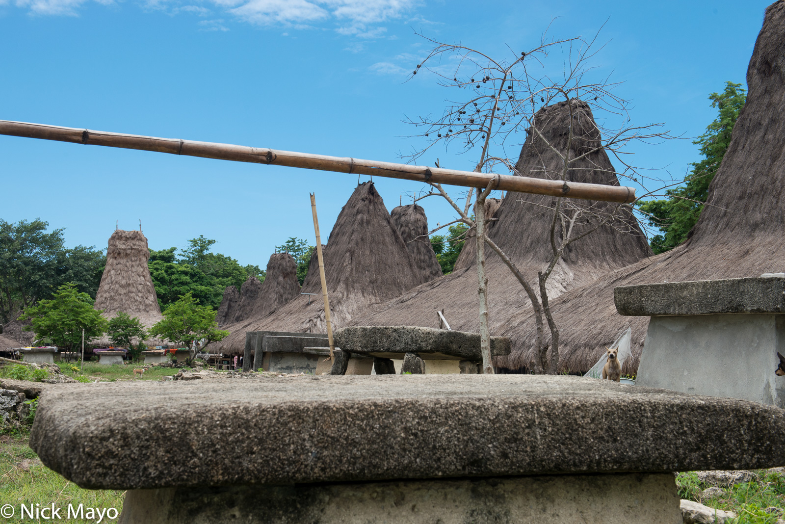 A grave and thatched peak roof houses in a village in West Sumba Regency.